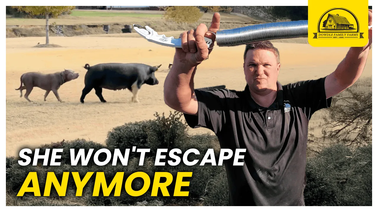 Dowdle Family Farm Thumbnails: She Won't Escape Anymore