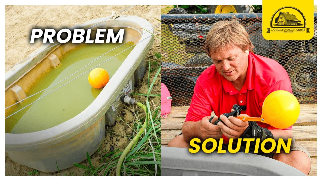 Dowdle Family Farm Thumbnails: Problem/Solution
