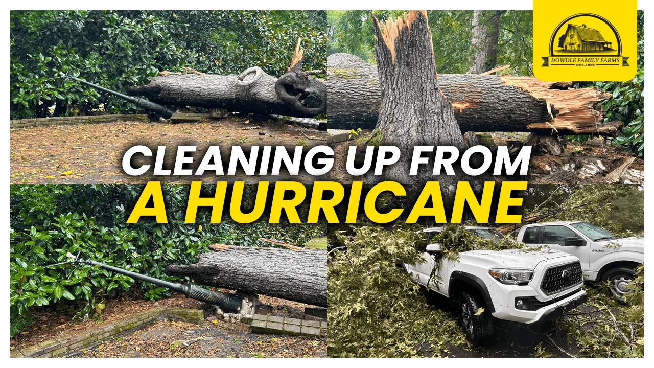 Dowdle Family Farm Thumbnails: Cleaning Up From a Hurricane